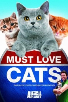 Постер: Кошек не любить нельзя